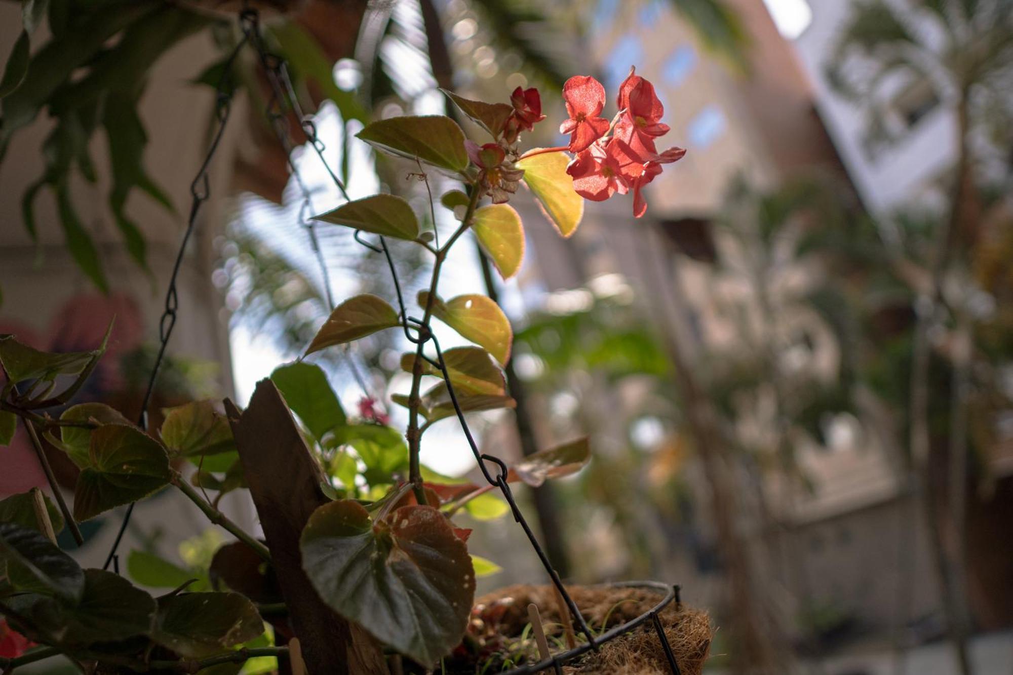 招待所 Laureles Garden *
